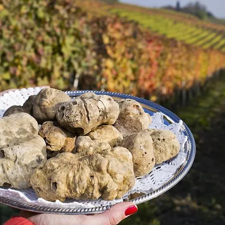 Borgo Stalle Bilo Frabosa Sottana